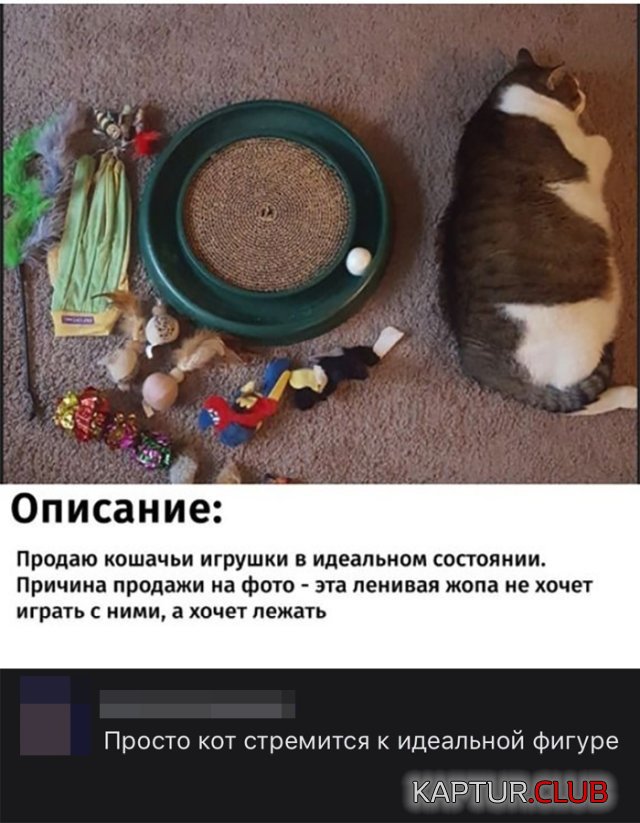 1591696427_podb_02.jpg | Рено Каптур Клуб Россия | Форум KAPTUR.SU
