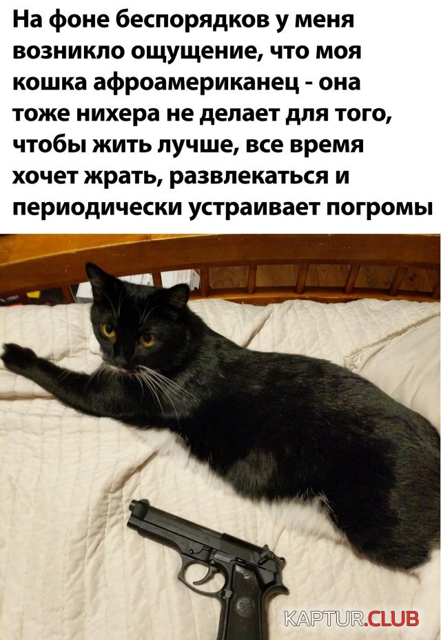 1591700675_1591627649_podb_vecher_32.jpg | Рено Каптур Клуб Россия | Форум KAPTUR.SU