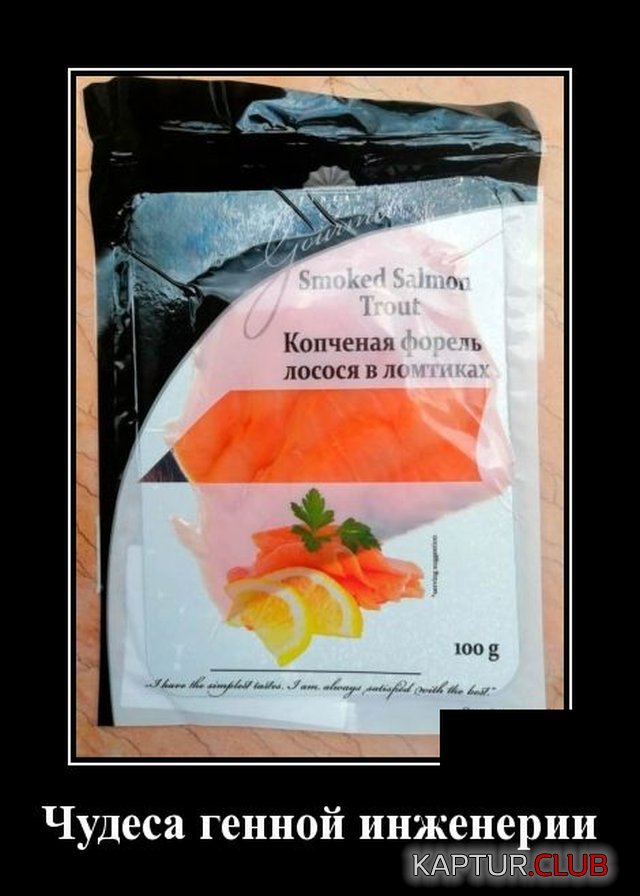 1591705928_demotivatory_05.jpg | Рено Каптур Клуб Россия | Форум KAPTUR.SU