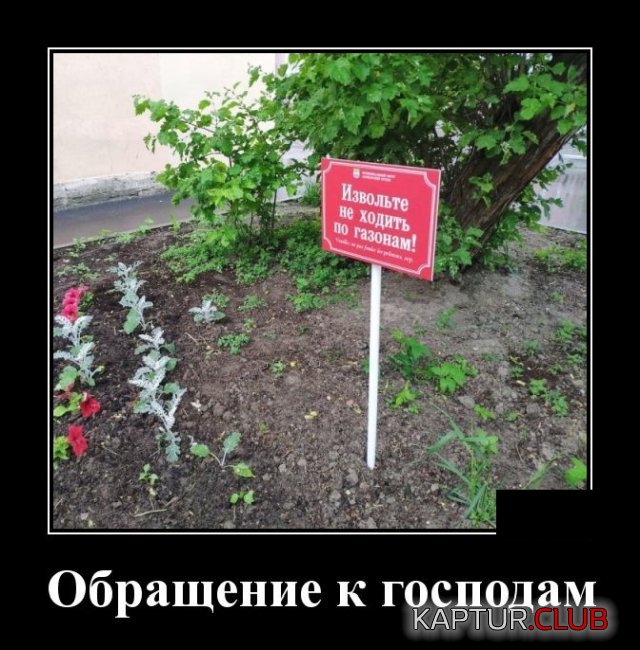 1591705945_demotivatory_11.jpg | Рено Каптур Клуб Россия | Форум KAPTUR.SU