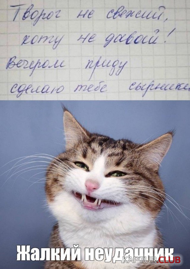 1591801757_podb_vecher_01.jpg | Рено Каптур Клуб Россия | Форум KAPTUR.SU