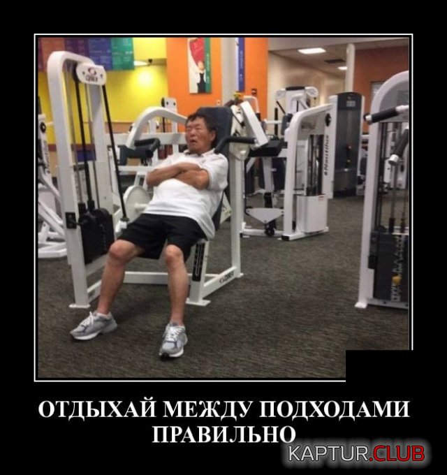 1591884592_demotivatory_06.jpg | Рено Каптур Клуб Россия | Форум KAPTUR.SU