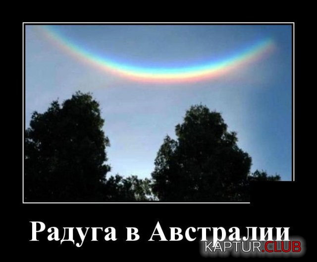 1591884630_demotivatory_03.jpg | Рено Каптур Клуб Россия | Форум KAPTUR.SU