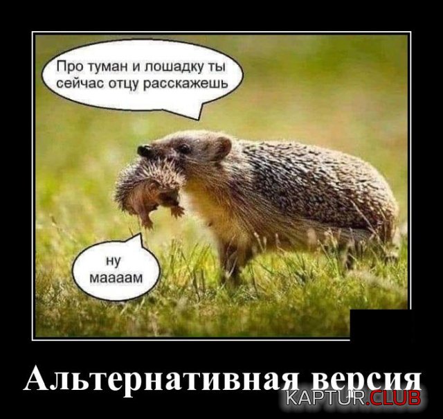 1591884663_demotivatory_02.jpg | Рено Каптур Клуб Россия | Форум KAPTUR.SU