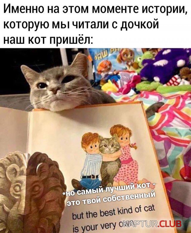 1591888190_podb_vecher_11.jpg | Рено Каптур Клуб Россия | Форум KAPTUR.SU