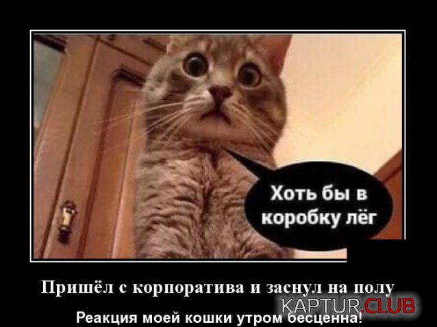 1591970201_demotivatory_14.jpg | Рено Каптур Клуб Россия | Форум KAPTUR.SU