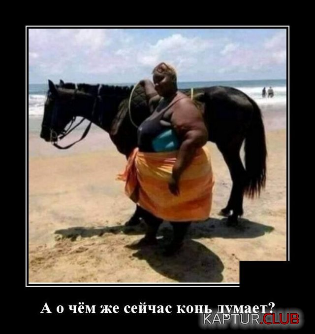 1591970229_demotivatory_06.jpg | Рено Каптур Клуб Россия | Форум KAPTUR.SU