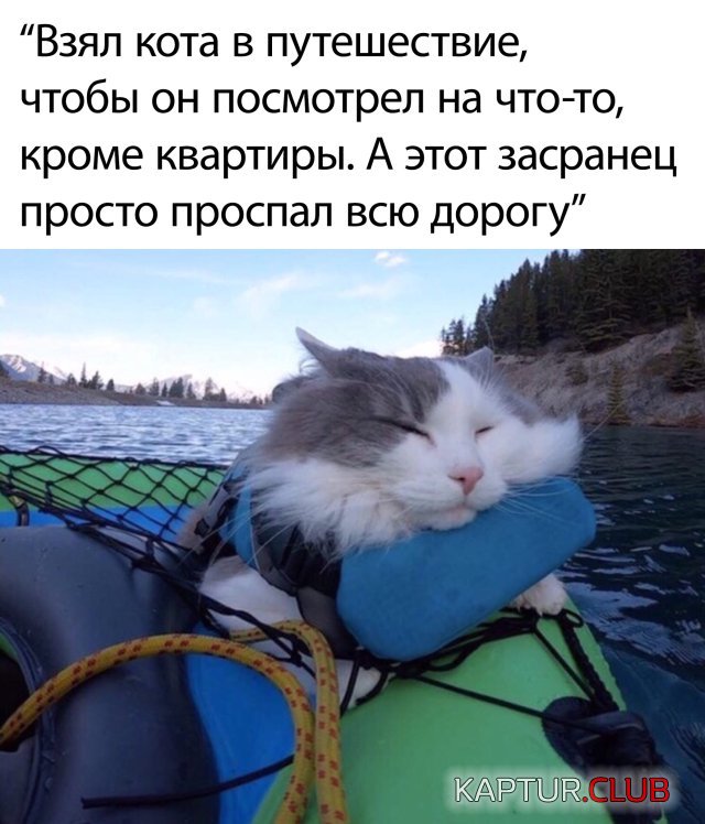 1592212056_podb_24.jpg | Рено Каптур Клуб Россия | Форум KAPTUR.SU
