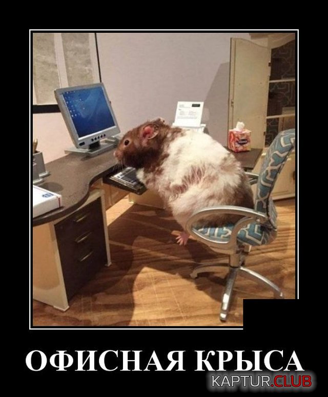 1592229326_demotivatory_03.jpg | Рено Каптур Клуб Россия | Форум KAPTUR.SU
