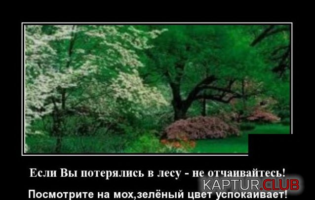 1592229333_demotivatory_20.jpg | Рено Каптур Клуб Россия | Форум KAPTUR.SU