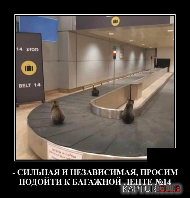 1592229369_demotivatory_04.jpg | Рено Каптур Клуб Россия | Форум KAPTUR.SU