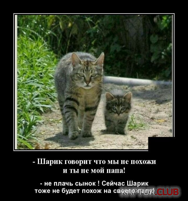 1592229371_demotivatory_18.jpg | Рено Каптур Клуб Россия | Форум KAPTUR.SU