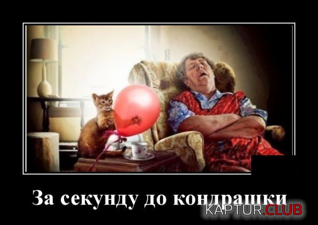 1592314469_demotivatory_13.jpg | Рено Каптур Клуб Россия | Форум KAPTUR.SU