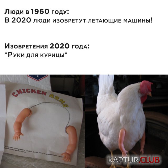 1592318544_podb_vecher_11.jpg | Рено Каптур Клуб Россия | Форум KAPTUR.SU