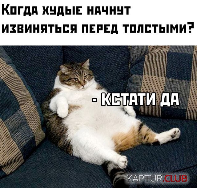 1592318555_podb_vecher_30.jpg | Рено Каптур Клуб Россия | Форум KAPTUR.SU