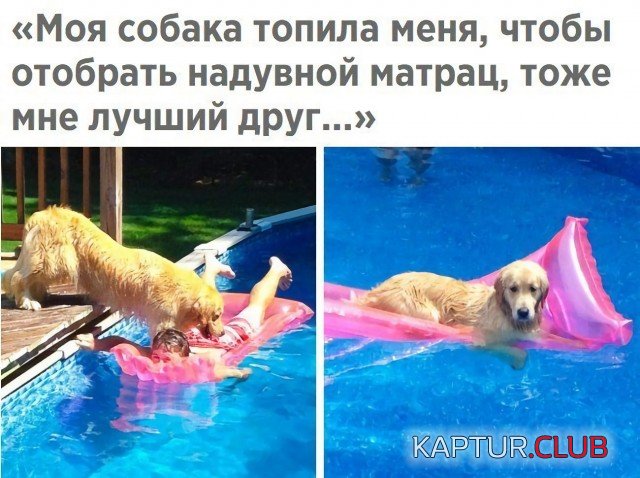 1592318593_podb_vecher_04.jpg | Рено Каптур Клуб Россия | Форум KAPTUR.SU