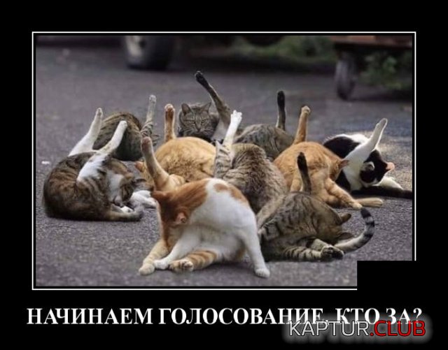 1592401995_demotivatory_04.jpg | Рено Каптур Клуб Россия | Форум KAPTUR.SU