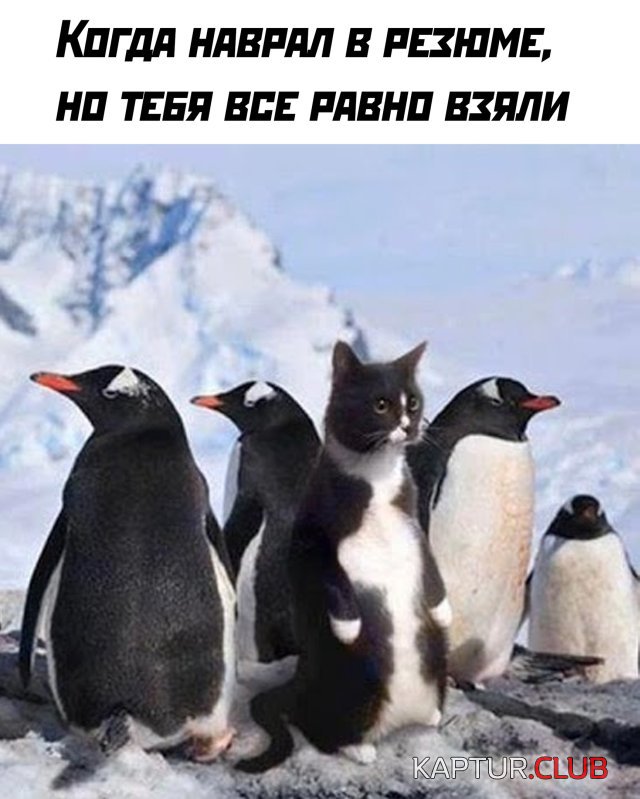1592493540_podb_vecher_04.jpg | Рено Каптур Клуб Россия | Форум KAPTUR.SU
