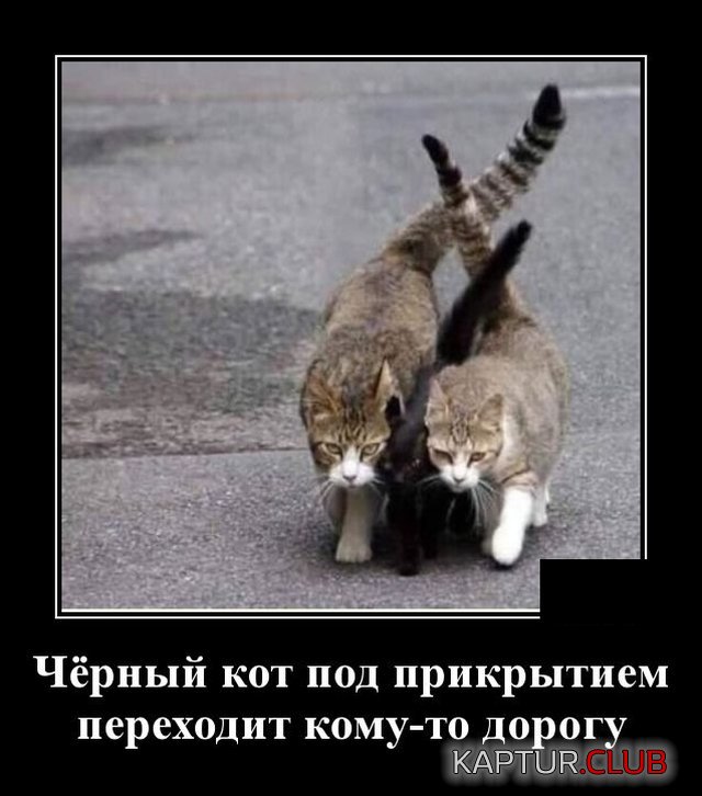 1592832272_demotivatory_20.jpg | Рено Каптур Клуб Россия | Форум KAPTUR.SU