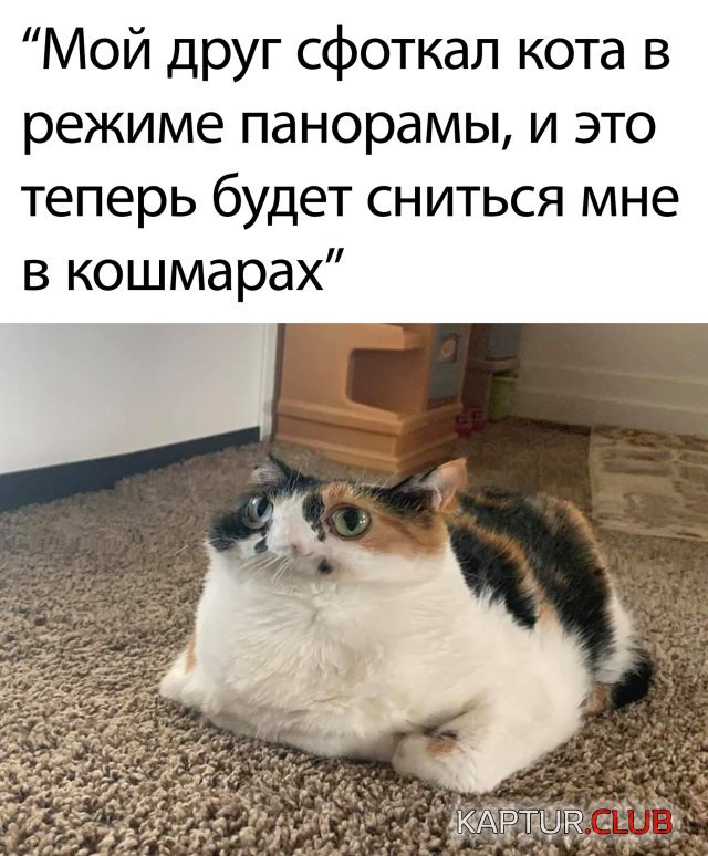 1592835825_podb_vecher_02.jpg | Рено Каптур Клуб Россия | Форум KAPTUR.SU