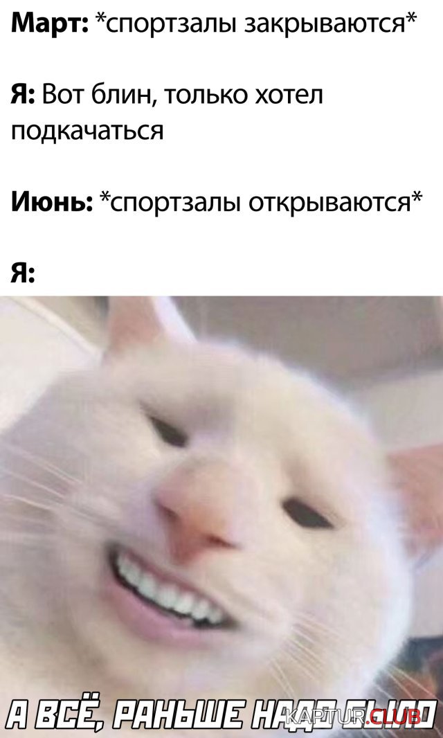 1592835848_podb_vecher_30.jpg | Рено Каптур Клуб Россия | Форум KAPTUR.SU