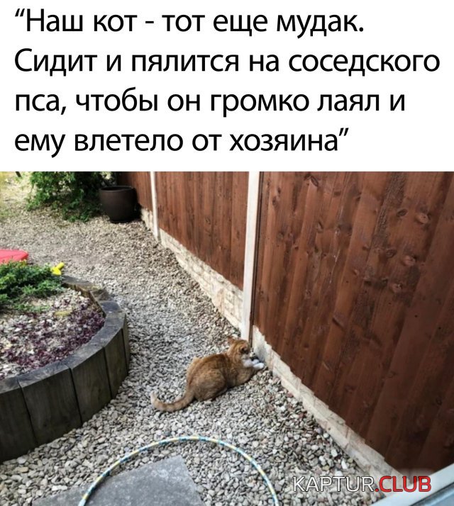 1592835868_podb_vecher_24.jpg | Рено Каптур Клуб Россия | Форум KAPTUR.SU