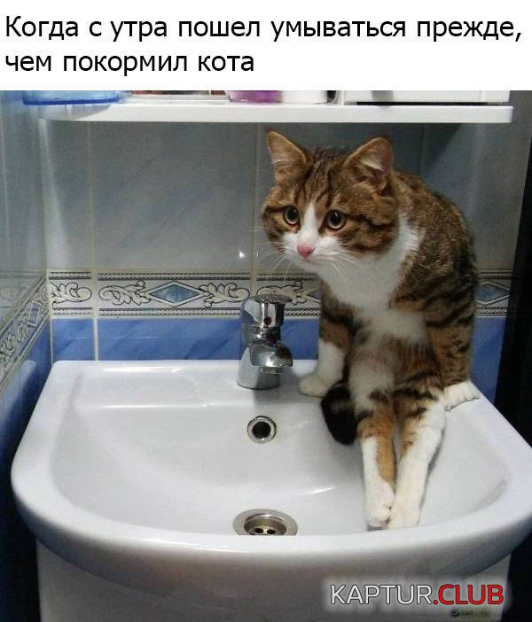 1592922713_podb_vecher_05.jpg | Рено Каптур Клуб Россия | Форум KAPTUR.SU
