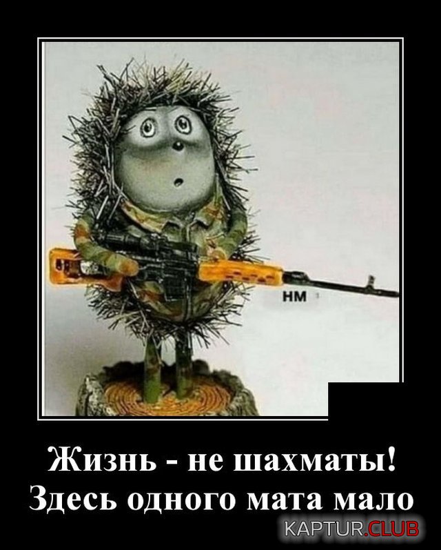 1593004234_demotivatory_07.jpg | Рено Каптур Клуб Россия | Форум KAPTUR.SU