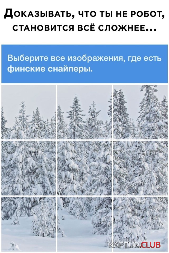1593008673_podb_vecher_01.jpg | Рено Каптур Клуб Россия | Форум KAPTUR.SU