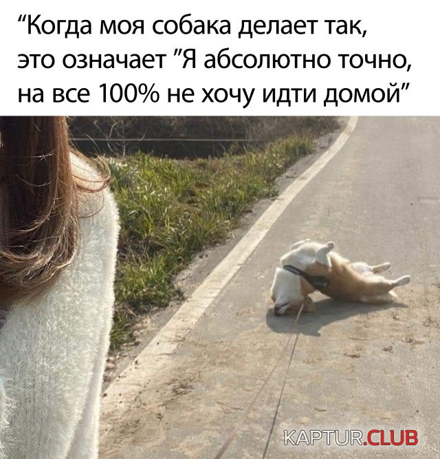 1593096965_podb_vecher_28.jpg | Рено Каптур Клуб Россия | Форум KAPTUR.SU