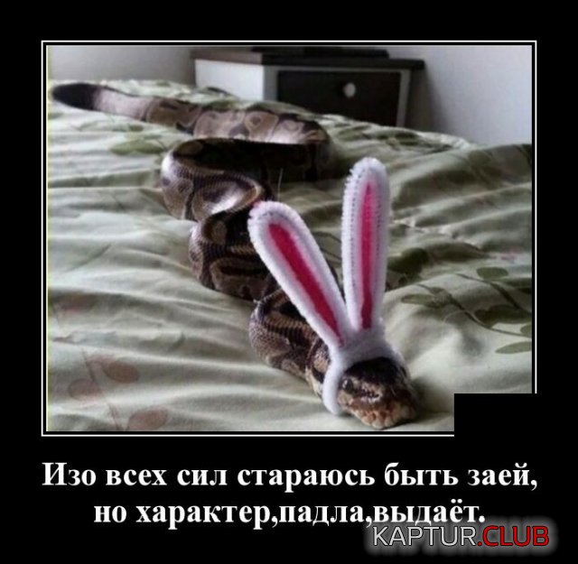 1593175429_demotivatory_09.jpg | Рено Каптур Клуб Россия | Форум KAPTUR.SU