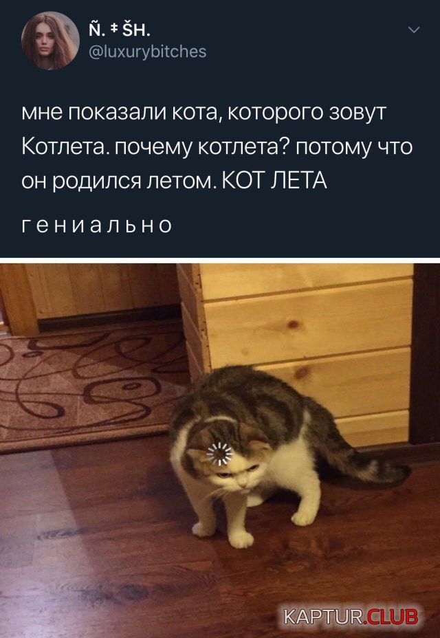 1593681406_podb_01.jpg | Рено Каптур Клуб Россия | Форум KAPTUR.SU