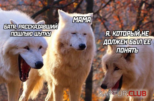 1594023917_podb_33.jpg | Рено Каптур Клуб Россия | Форум KAPTUR.SU