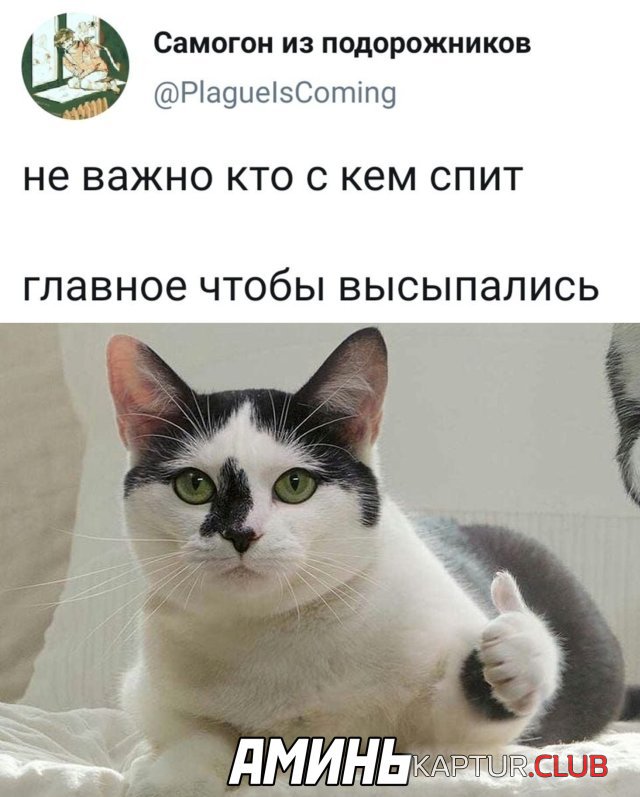 1594023964_podb_22.jpg | Рено Каптур Клуб Россия | Форум KAPTUR.SU