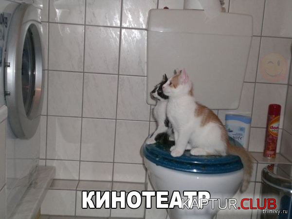 159407_1_trinixy_ru.jpg | Рено Каптур Клуб Россия | Форум KAPTUR.SU