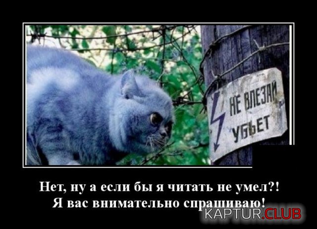 1594125453_demotivatory_03.jpg | Рено Каптур Клуб Россия | Форум KAPTUR.SU