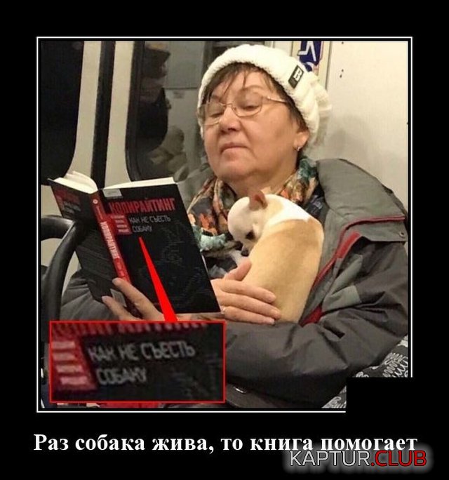 1594214357_demotivatory_04.jpg | Рено Каптур Клуб Россия | Форум KAPTUR.SU