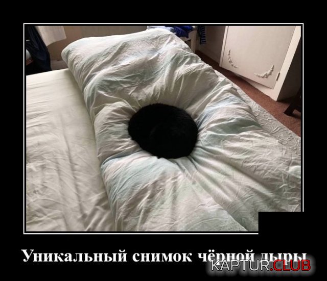 1594304324_demotivatory_08.jpg | Рено Каптур Клуб Россия | Форум KAPTUR.SU
