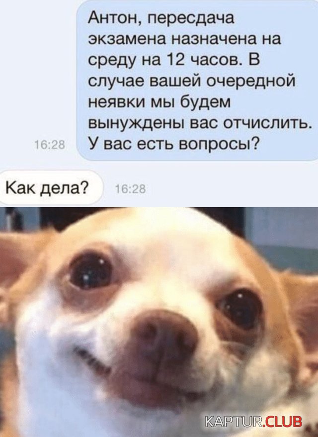 1594735864_podb_vecher_06.jpg | Рено Каптур Клуб Россия | Форум KAPTUR.SU