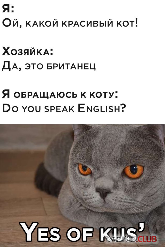 1594911621_podb_vecher_36.jpg | Рено Каптур Клуб Россия | Форум KAPTUR.SU