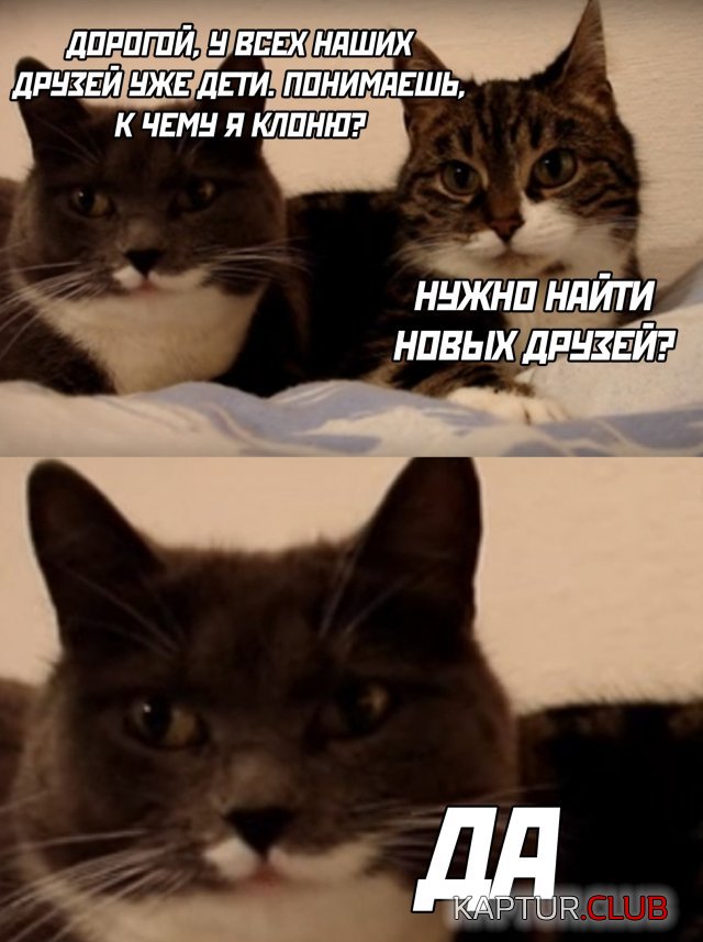 1594996066_1594820228_podb_vecher_31.jpg | Рено Каптур Клуб Россия | Форум KAPTUR.SU