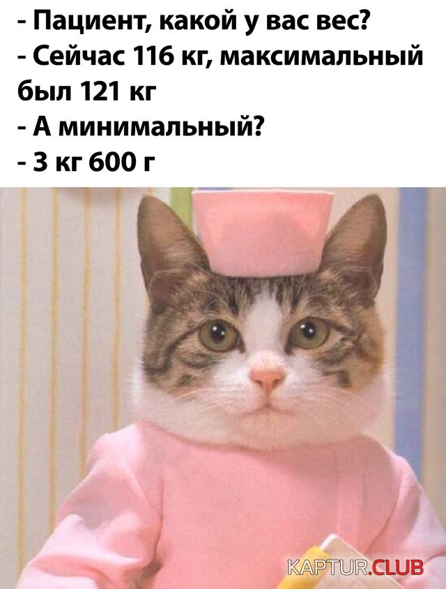 1595234402_podb_26.jpg | Рено Каптур Клуб Россия | Форум KAPTUR.SU
