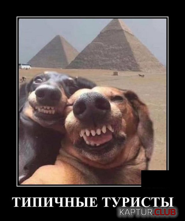 1595338121_demotivatory_20.jpg | Рено Каптур Клуб Россия | Форум KAPTUR.SU