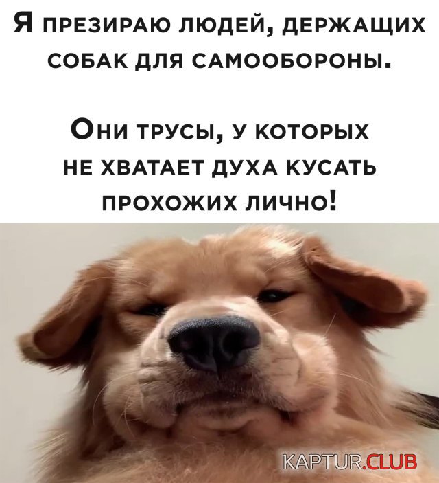 1595499078_podb_29.jpg | Рено Каптур Клуб Россия | Форум KAPTUR.SU