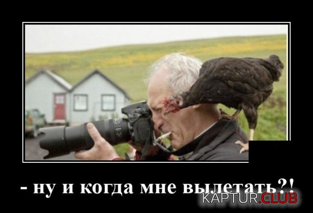 1595600145_demotivatory_11.jpg | Рено Каптур Клуб Россия | Форум KAPTUR.SU