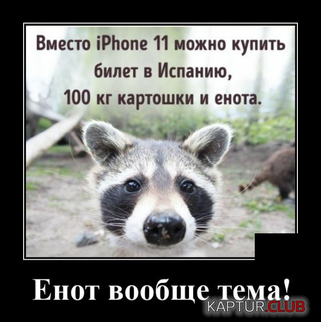 1595600149_demotivatory_17.jpg | Рено Каптур Клуб Россия | Форум KAPTUR.SU