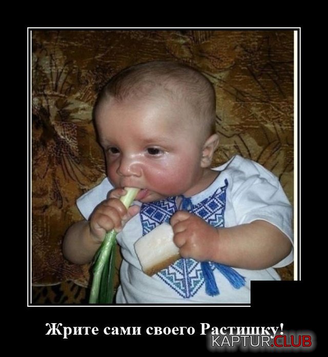 1596203399_demotivatory_09.jpg | Рено Каптур Клуб Россия | Форум KAPTUR.SU
