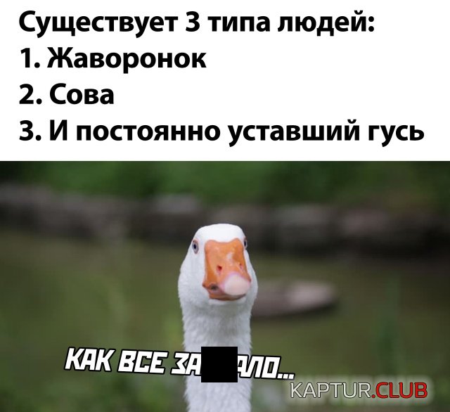 1596209353_podb_vecher_28.jpg | Рено Каптур Клуб Россия | Форум KAPTUR.SU