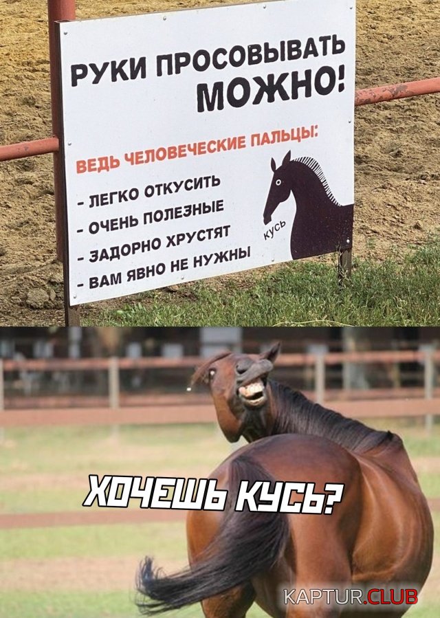 1596469133_podb_vecher_27.jpg | Рено Каптур Клуб Россия | Форум KAPTUR.SU