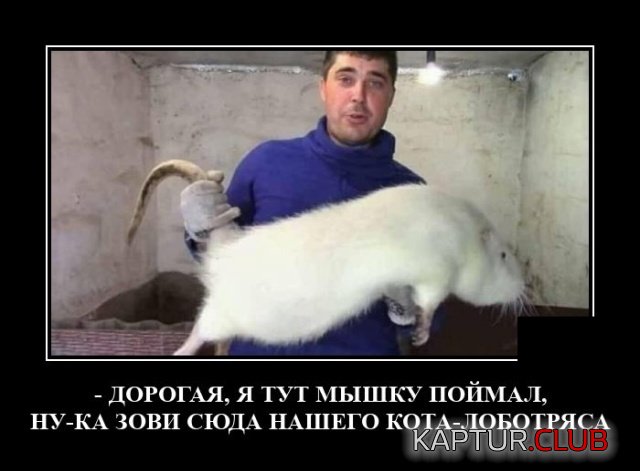 1596544616_demotivatory_20.jpg | Рено Каптур Клуб Россия | Форум KAPTUR.SU